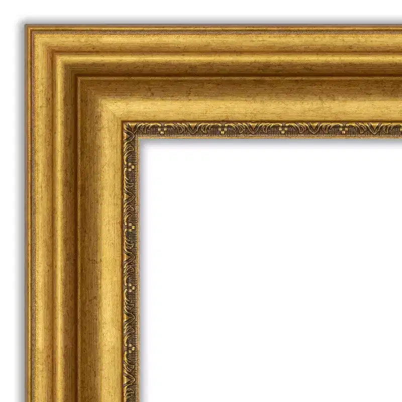 Specchio da parete e da porta a figura intera 50,8 cm x 137,16 cm con cornice dorata lavorata