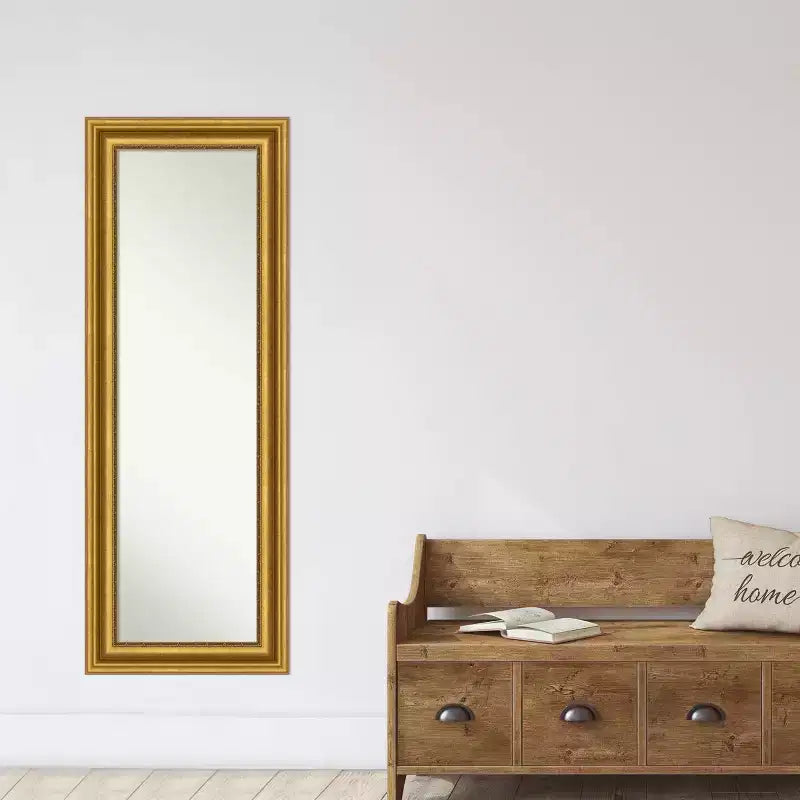 Specchio da parete e da porta a figura intera 50,8 cm x 137,16 cm con cornice dorata lavorata